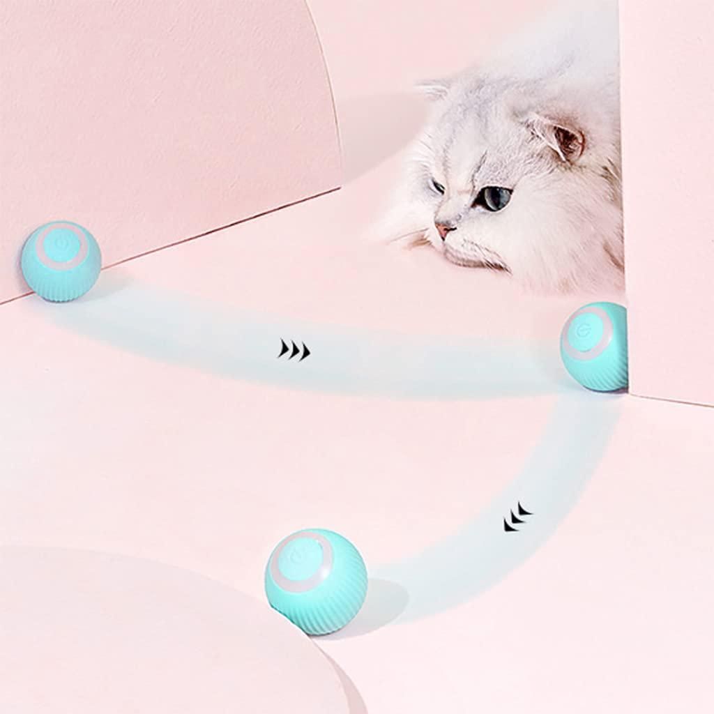 Self Rolling Ball | Playtime Toy For Cats & Dogs