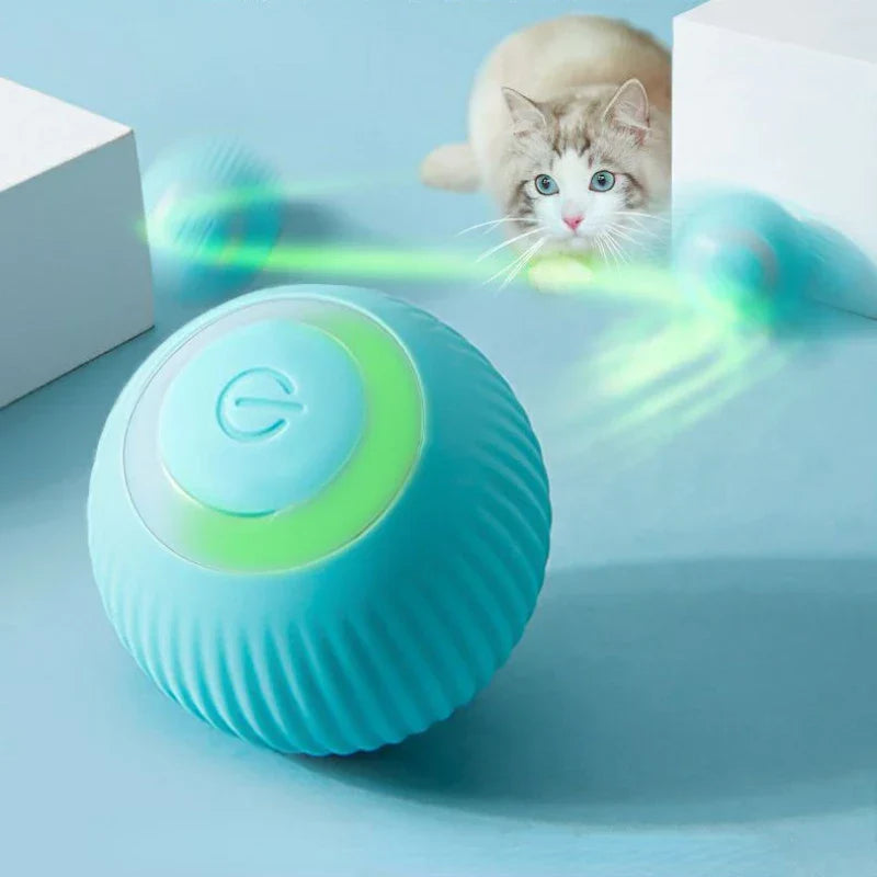 Self Rolling Ball | Playtime Toy For Cats & Dogs