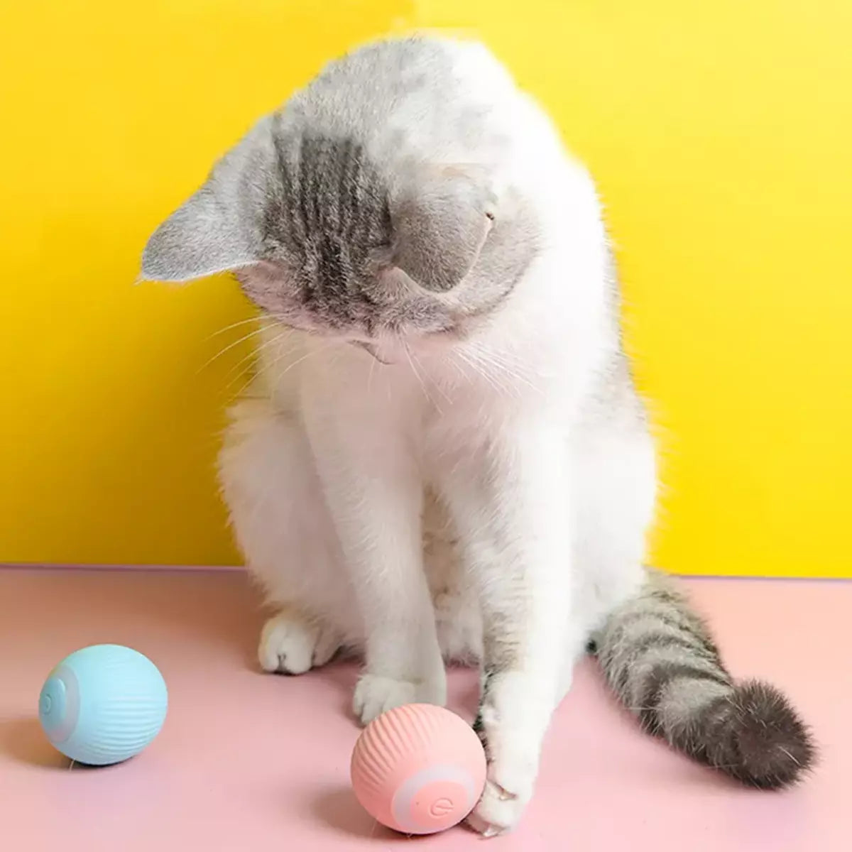 Self Rolling Ball | Playtime Toy For Cats & Dogs