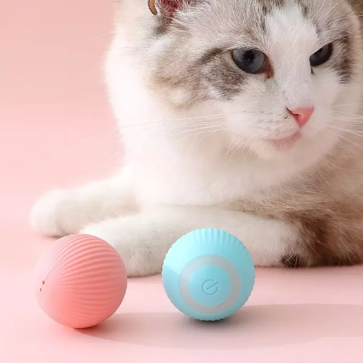 Self Rolling Ball | Playtime Toy For Cats & Dogs