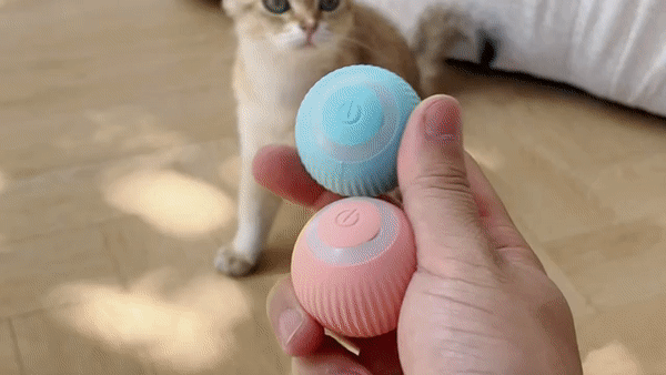 Self Rolling Ball | Playtime Toy For Cats & Dogs