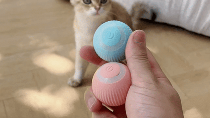 Self Rolling Ball | Playtime Toy For Cats & Dogs
